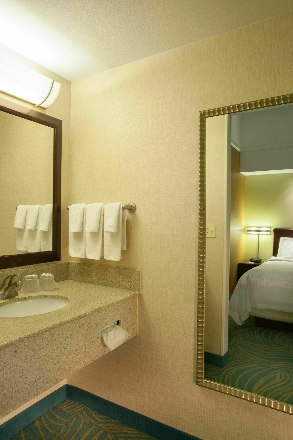 Springhill Suites Boise West/Eagle Luaran gambar
