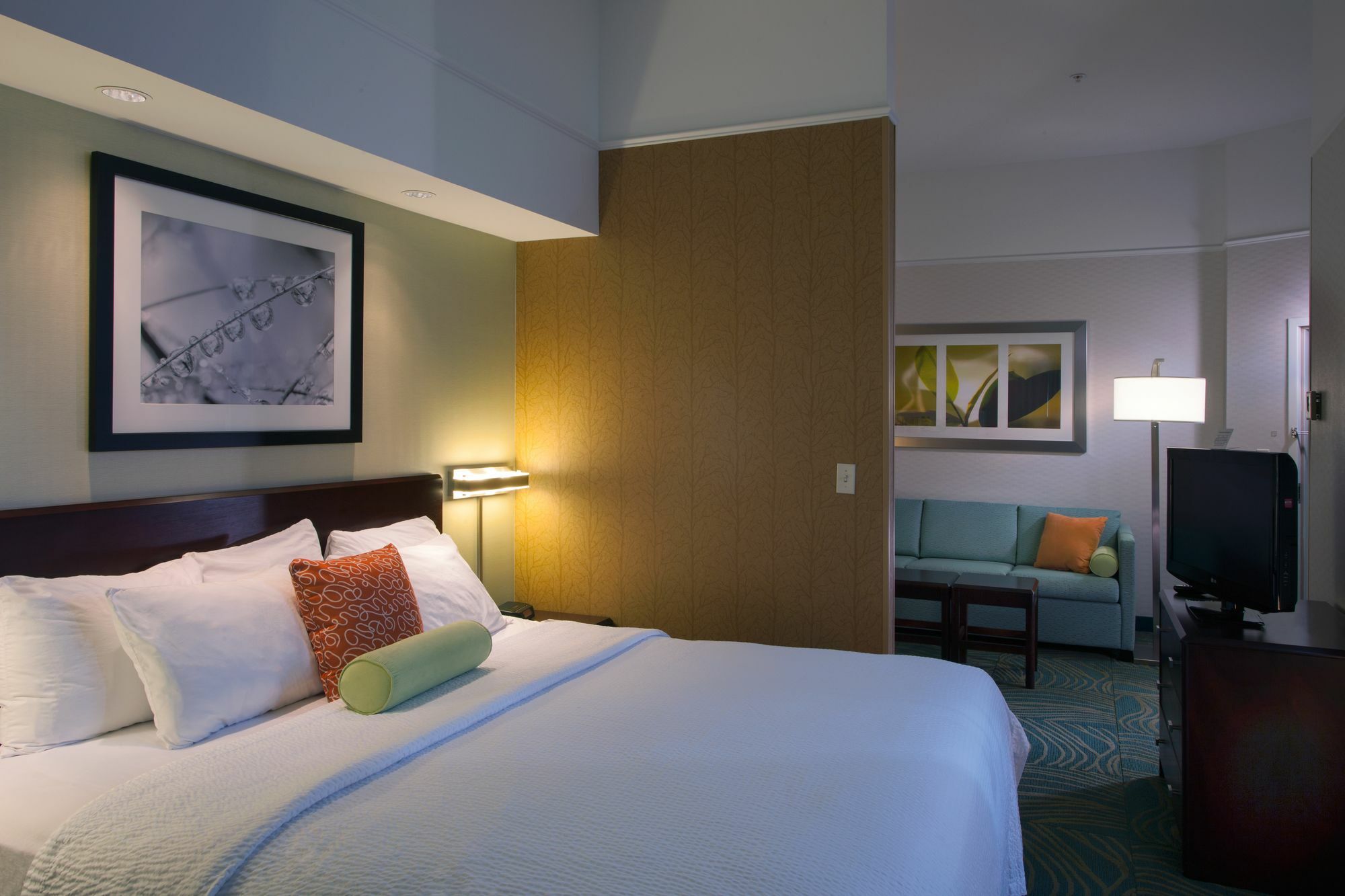 Springhill Suites Boise West/Eagle Luaran gambar